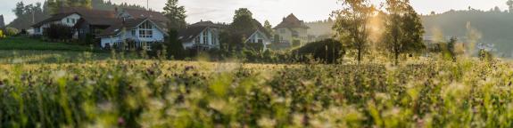 Schulhaus Wangen an der Aare