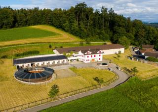 Arura Reiners Westernstall