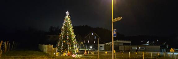 Winterbild Walliswil bei Niederbip