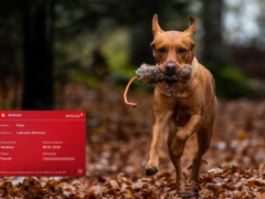 Information für Hundebesitzerinnen und Hundebesitzer: Umstellung auf die digitale ePetCard ab 2026